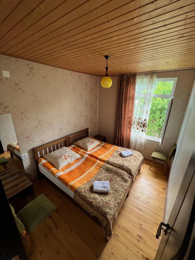 Barbara'S Eco-Cozy Guesthouse Mestia Exteriör bild