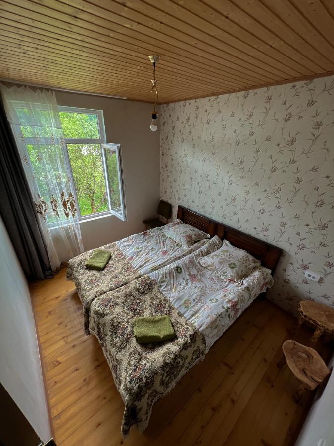 Barbara'S Eco-Cozy Guesthouse Mestia Exteriör bild